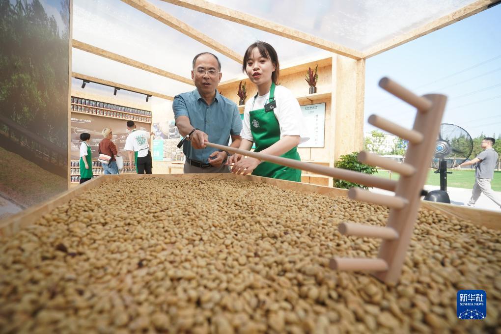 新匍京官网登陆网址